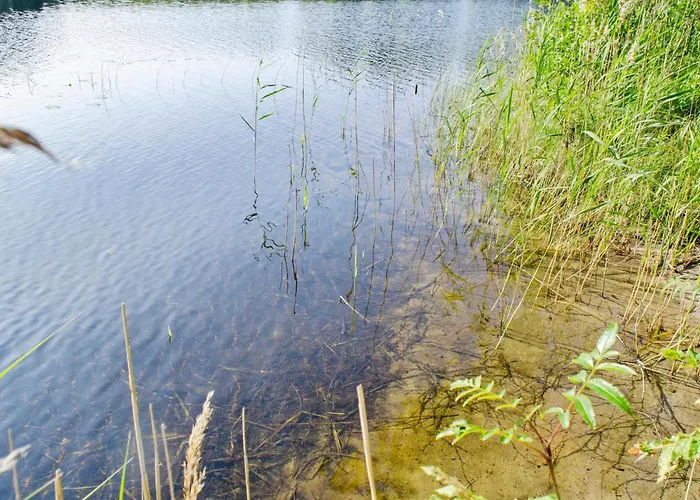 Kolin Helmi 2 By Interhome Semesterbostad Kolinkylä